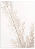 lámina decorativa nórdica y floral, fotográfica - kuadro