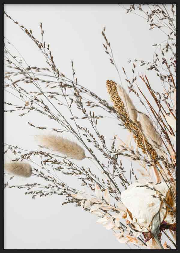cuadro para lámina decorativa de fotografía de flores secas, estilo botánico - kuadro