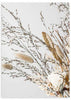lámina decorativa de fotografía de flores secas, estilo botánico - kuadro