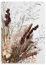 lámina decorativa de fotografía de flores secas, estilo botánico - kuadro