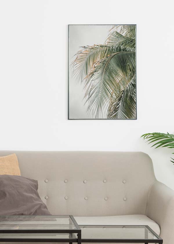 Decoración con cuadros, ideas -  lámina decorativa de fotografía de palmera sobre fondo gris. Foto de palmera.
