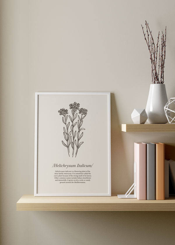 Decoración con cuadros, ideas -  lámina decorativa de flor Curry ilustrada con frases y fondo beige