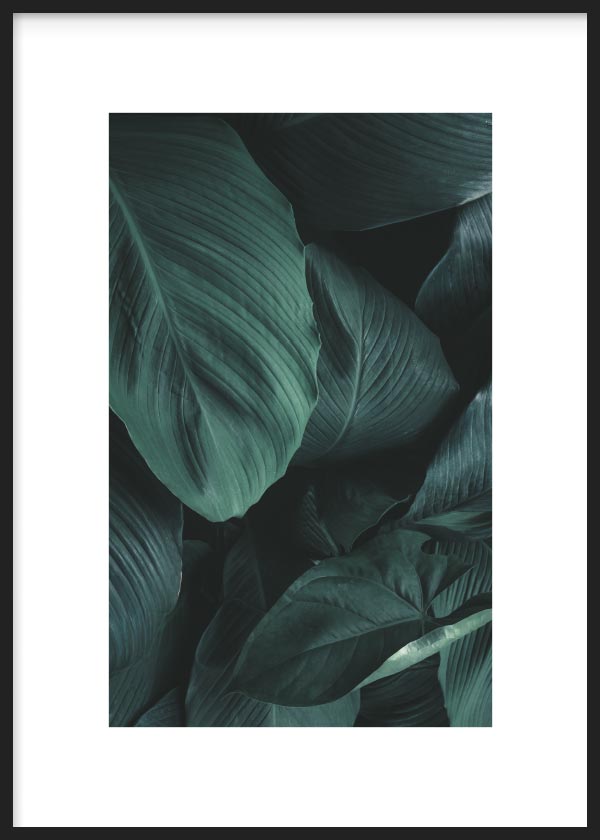 Lámina para Cuadro fotográfico de flores y naturaleza en tonos verdes