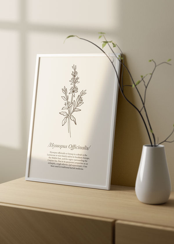 Decoración con cuadros, ideas -  lámina decorativa de ilustración de flor hisopo minimalista y sobre fondo beige