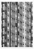cuadro de fotografía de fachada edificio y ventanas en blanco y negro. Lámina decorativa.