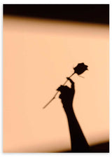 cuadro fotográfico con sombra de una rosa sujetada con el brazo. Lámina decorativa.