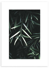 Cuadro fotográfico de flores y naturaleza en tonos verdes. Marco negro