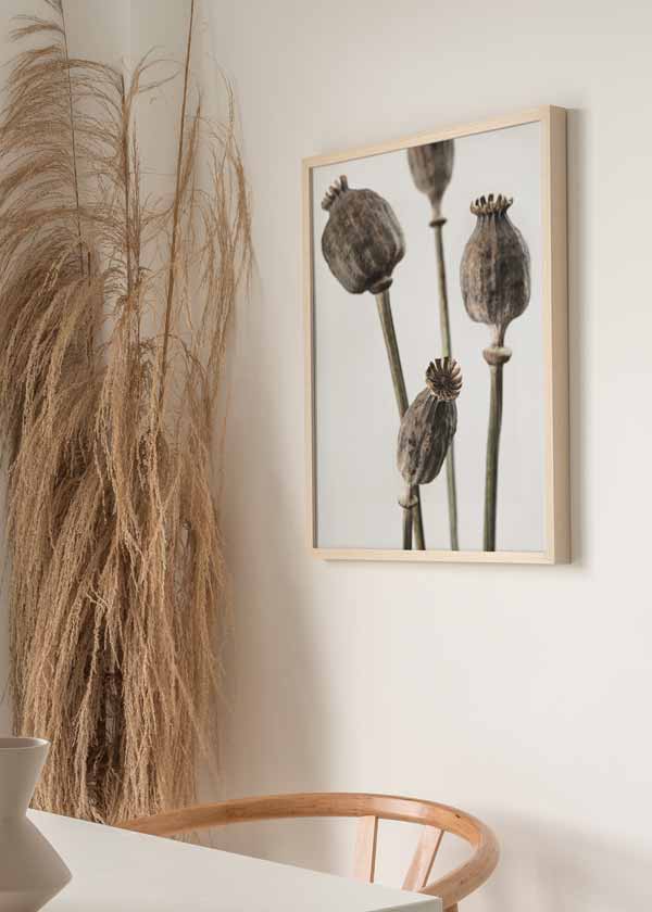 decoración con cuadros, ideas - lámina decorativa de flores secas en estilo nórdico, fotografía - kuadro
