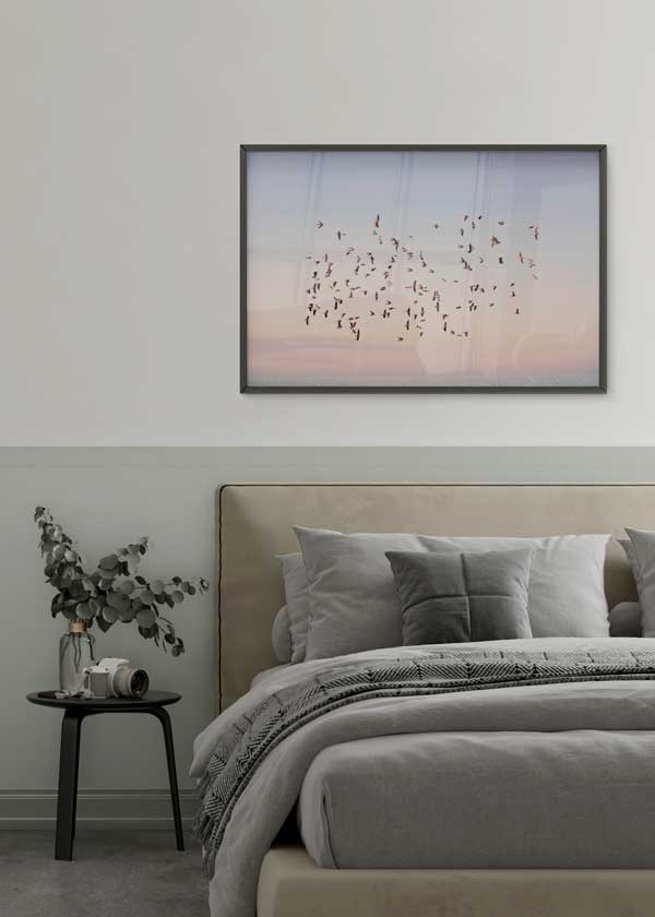 decoración con cuadros, ideas - lámina decorativa horizontal de pájaros volando sobre atardecer y el mar - kuadro