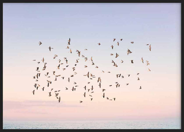 cuadro lámina decorativa horizontal de pájaros volando sobre atardecer y el mar - kuadro