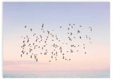 lámina decorativa horizontal de pájaros volando sobre atardecer y el mar - kuadro