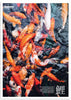 cuadro fotografía de peces koi o carpas coloridas. Lámina decorativa de peces. Marco Negro