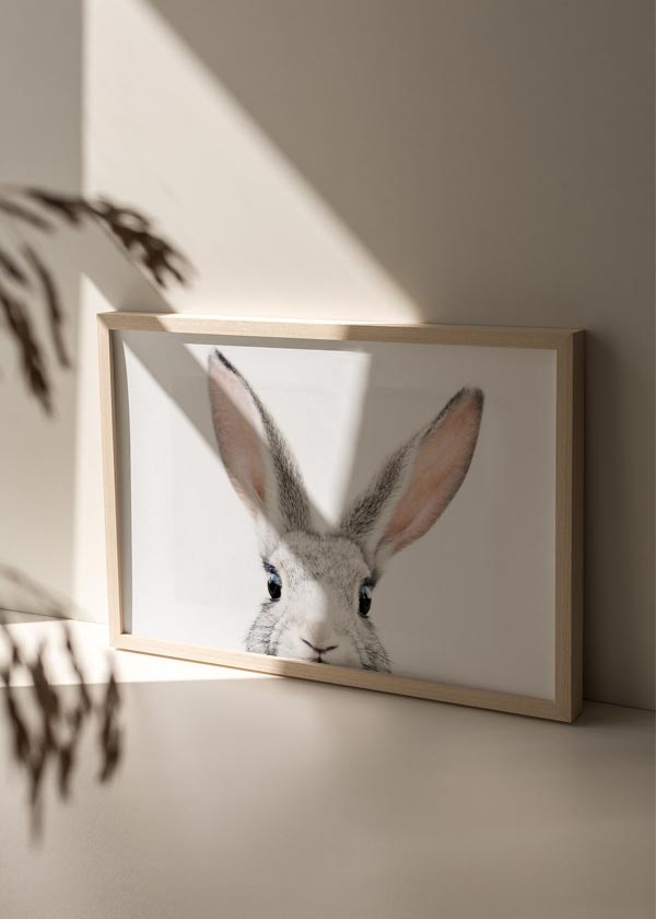 decoración con cuadros, ideas - lámina decorativa horizontal de fotografía de conejo gracioso con fondo blanco - kuadro
