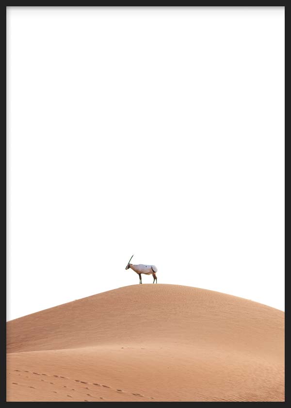 cuadro para lámina decorativa de cabra en el desierto, fotografía de desierto