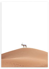 lámina decorativa de cabra en el desierto, fotografía de desierto