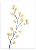 lámina decorativa de rama con flores amarillas, ilustración floral minimalista