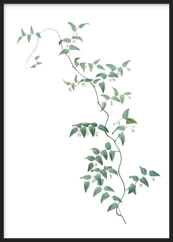 cuadro para lámina decorativa estilo nórdico de rama verde. Ilustración floral. Marco negro