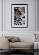 Decoración con cuadros, ideas -  cuadro fotografía de buho en blanco y negro. Lámina decorativa de foto de buho.