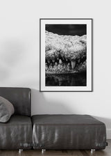 Decoración con cuadros, ideas -  cuadro fotografía de cocodrilo en blanco y negro. Lámina decorativa de foto de cocodrilo.