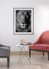 Decoración con cuadros, ideas -  cuadro fotografía de león en blanco y negro. Lámina decorativa de foto de león.