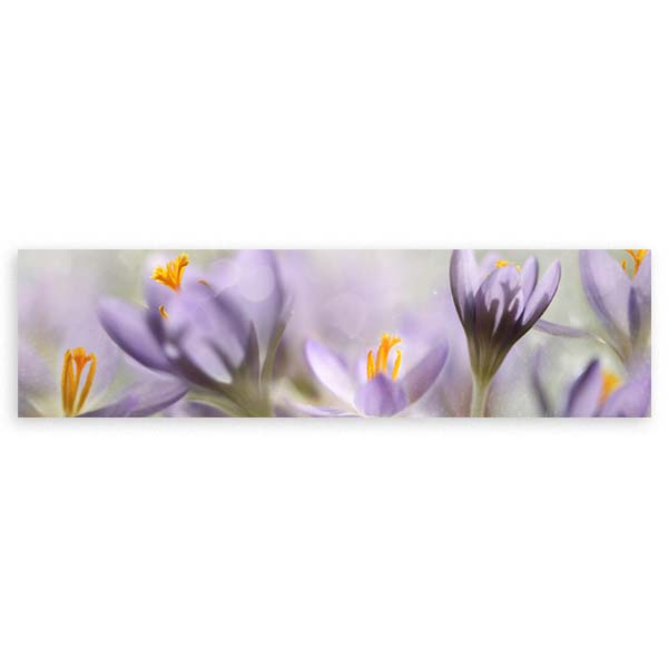 cuadro horizontal de fotografía de flores para salón o dormitorio - kuadro