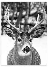lámina decorativa fotográfica en blanco y negro de animal ciervo en un bosque con nieve - kuadro