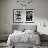 Decoración con cuadros, mural -  cuadro fotografía de rinoceronte en blanco y negro. Lámina decorativa de foto de rinoceronte.