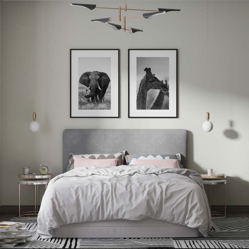 composición cuadro foto de elefante en blanco y negro