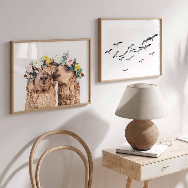 decoración con cuadros, mural - lámina decorativa horizontal de fotografía graciosa y alegre de alpacas, pareja - kuadro