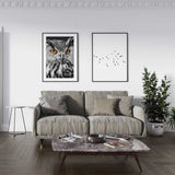 Decoración con cuadros, mural -  cuadro de fotografía de búho en blanco y negro. Lámina decorativa de búho.