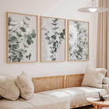 decoración con cuadros, mural - lámina decorativa de flor de eucalipto en estilo nórdico - kuadro