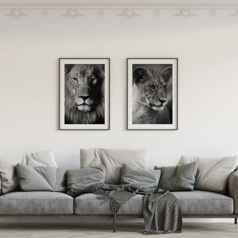 Decoración con cuadros, mural -  cuadro fotografía de leona en blanco y negro. Lámina decorativa de leona.