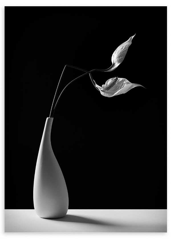 lámina decorativa de fotografía de jarrón y flor en blanco y negro