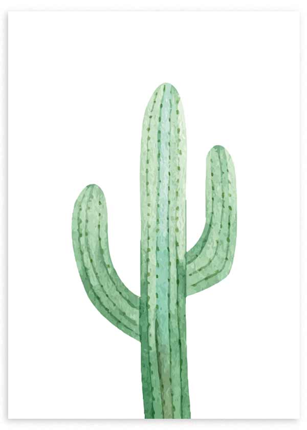 lámina decorativa de cactus verde, ilustración cactus - kuadro