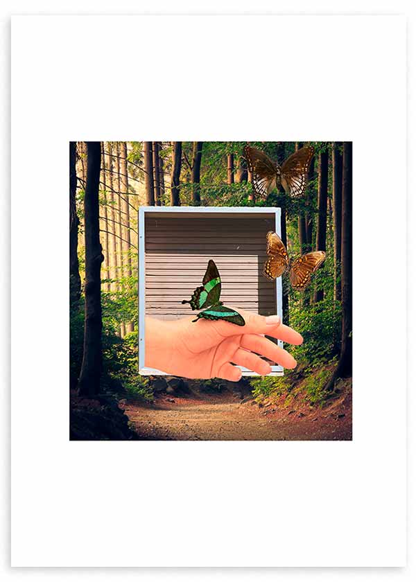 lámina decorativa para cuadro de ilustración de manos, naturaleza y mariposas